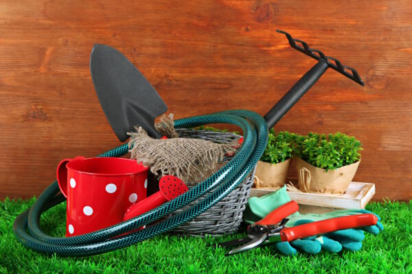 artykuly ogrodnicze gdzie kupic